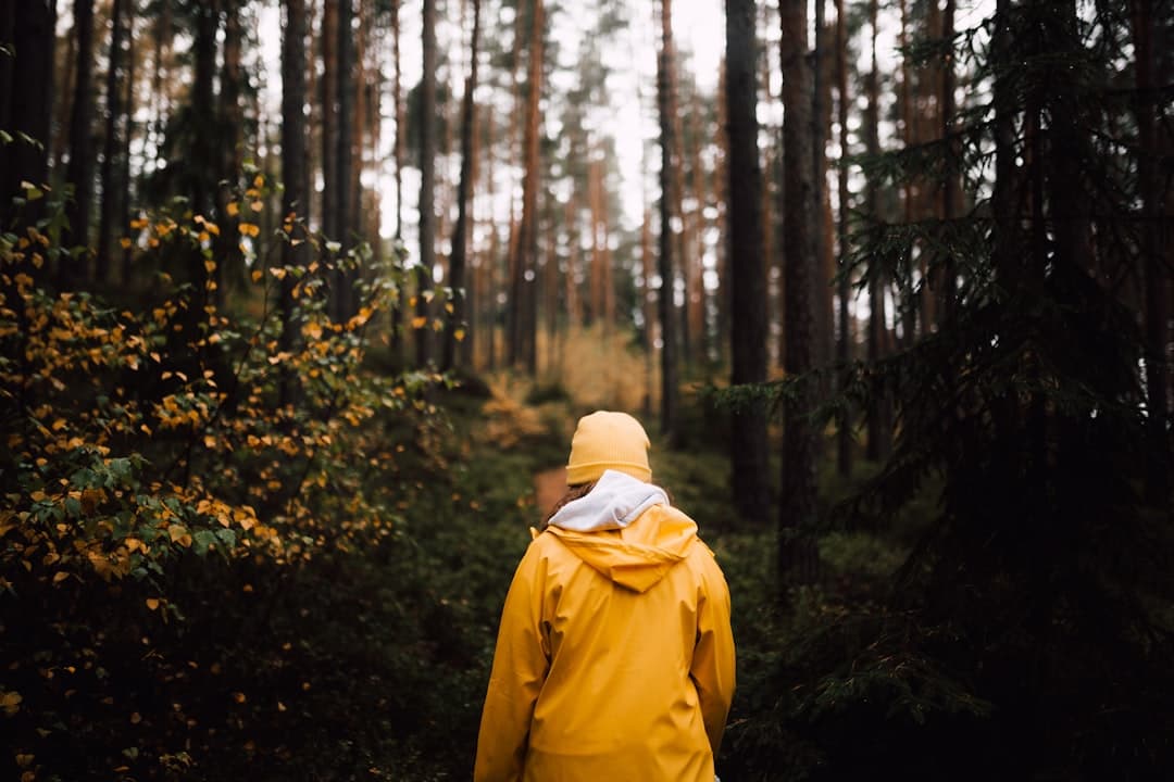 Wandern